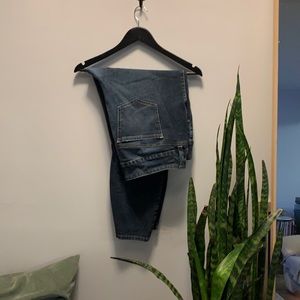 TORRID Jeggings! Medium Wash Size 20R Plus size!